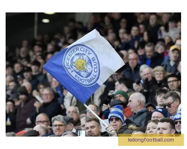 蓝狐近十五轮仅得十一分陷入英冠降级区保级压力骤增